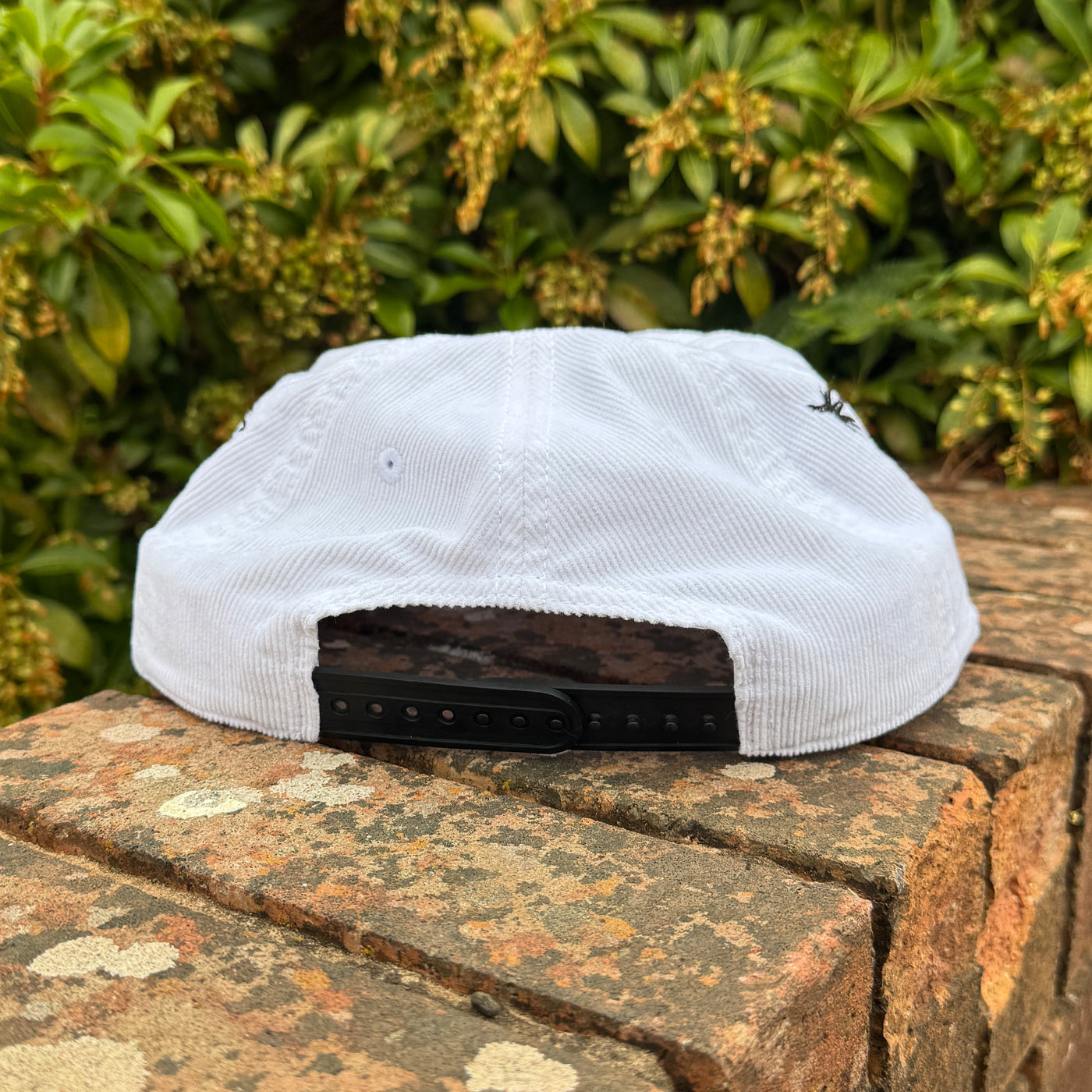 Flash Two Tone Cord Cap