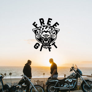 FREE MYSTERY BEANIE GIFT