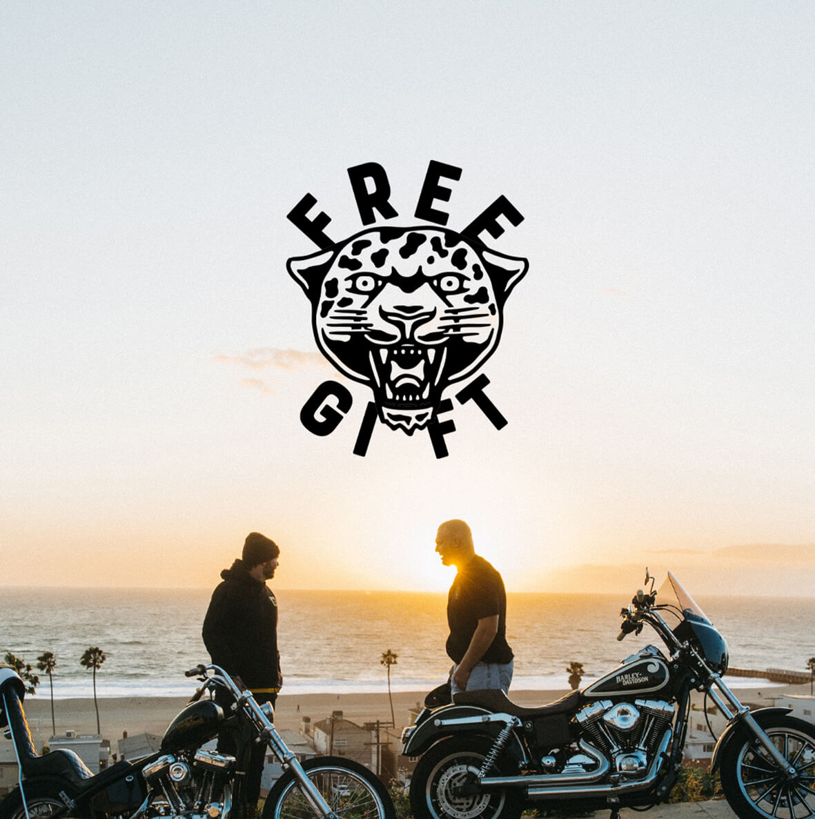 FREE MYSTERY T-SHIRT GIFT
